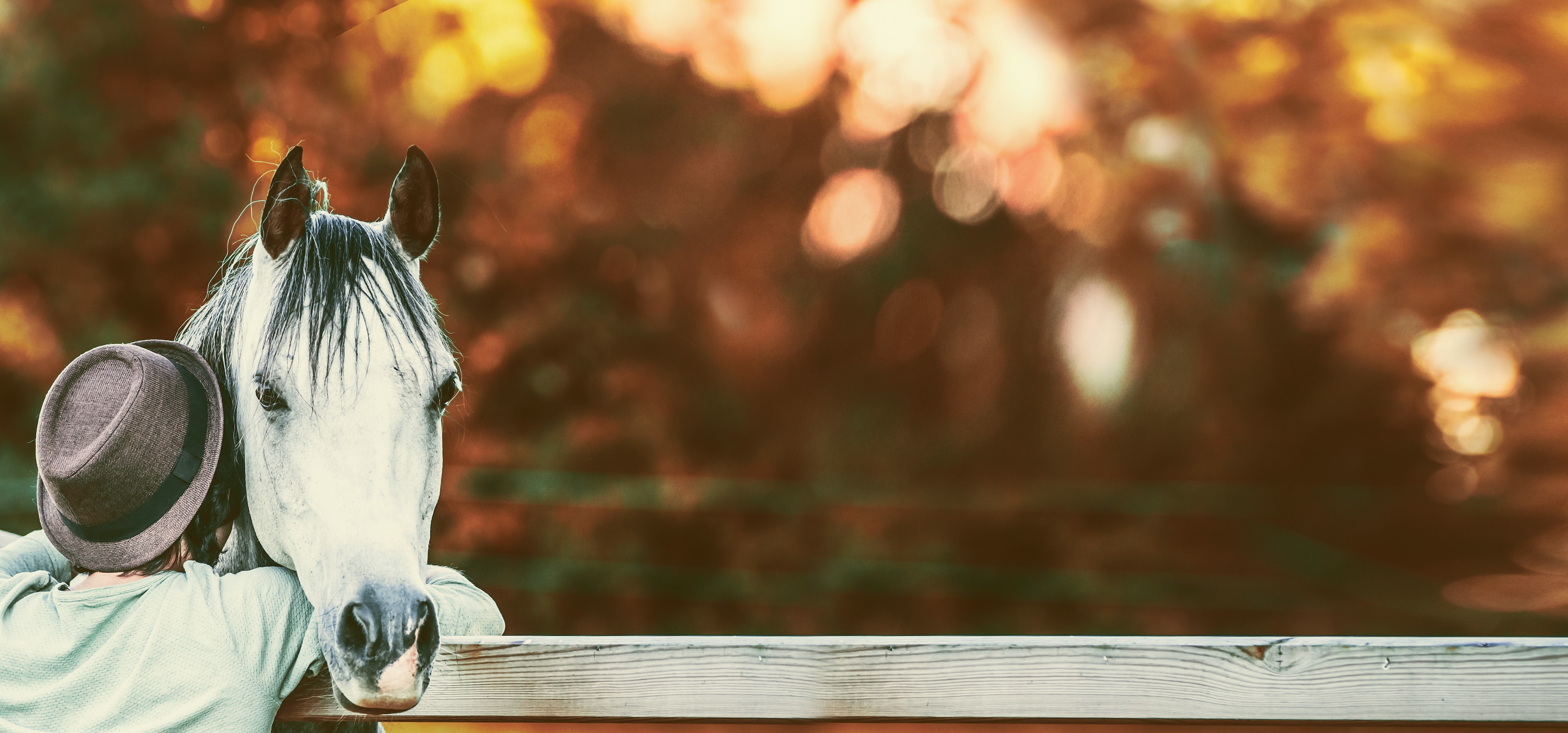 Startseite-AdobeStock_145005531-Farbe-zugeschnitten-w.jpg Startseite-AdobeStock_145005531-Farbe-zugeschnitten-w.jpg